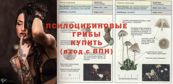 гидропоника Михайловск