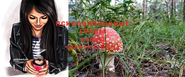 соль курить ск Михайлов