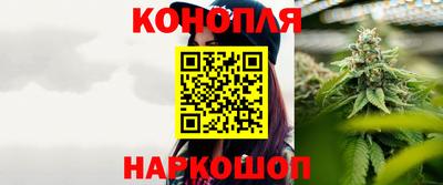индика Заволжье