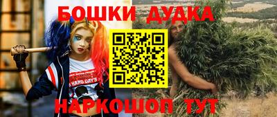 индика Заволжье