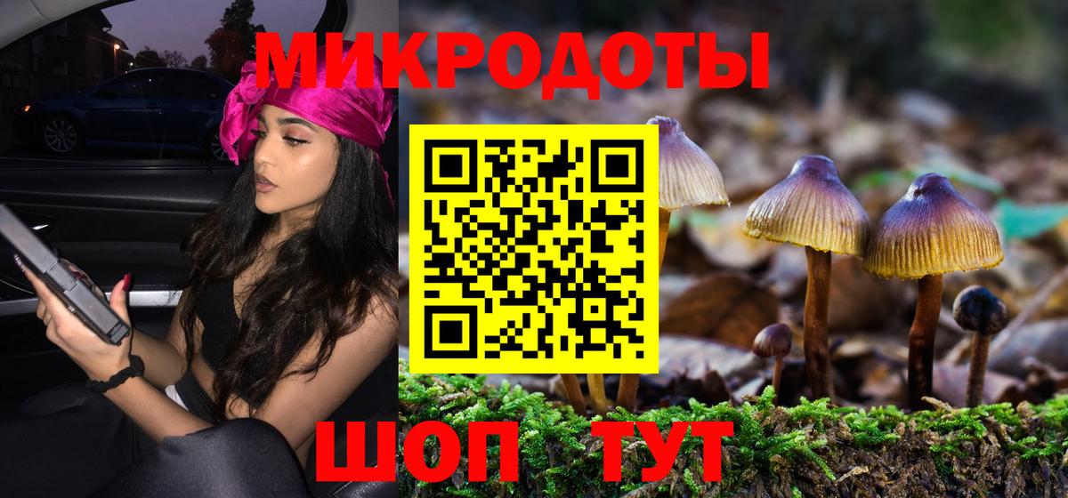 Псилоцибиновые грибы Cubensis Хасавюрт