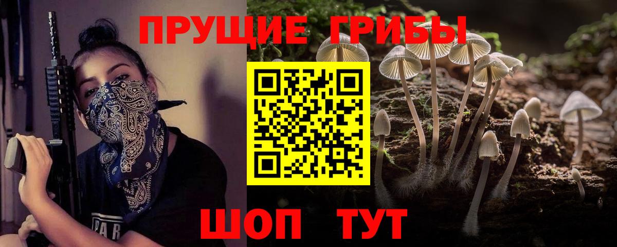 Псилоцибиновые грибы ЛСД  Галлюциногенные грибы мицелий  Вход с VPN  Хасавюрт 